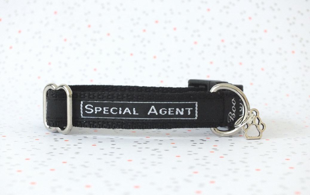 Special Agent
